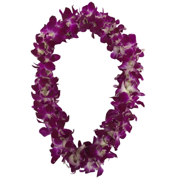 Purple orchid graduation lei arranged in an oval shape on a white background.